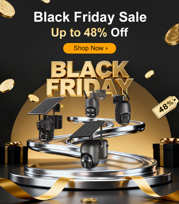 Ctronics Black Friday Mystery Camera